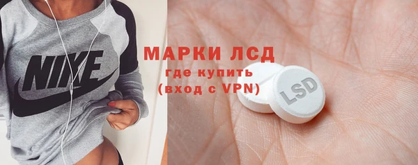 индика Абинск
