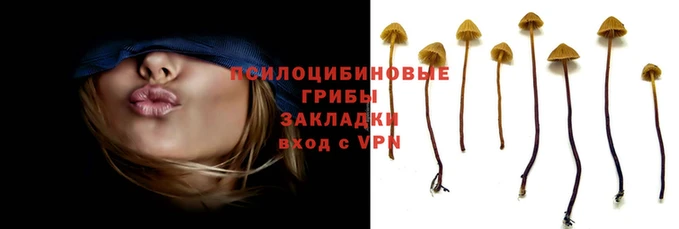 2c-b Алексин